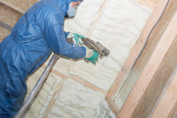 Professional Insulation in Lacoochee, FL