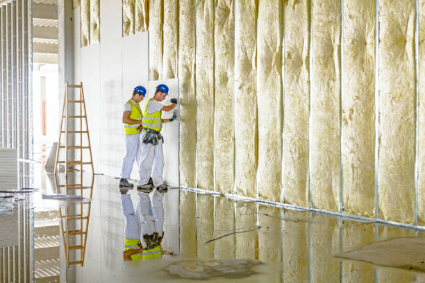 Types of Insulation We Offer in Lacoochee, FL